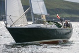 oystercatcher 3245c whyw19 wed gjmc 4603